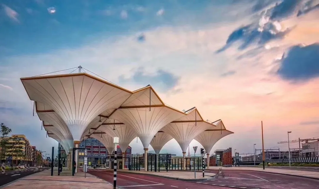 “棚”和“篷”，怎么區(qū)分？